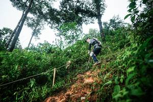 BIB: 
                            <button type="button" onclick="openModal(26201656)" class="btn btn-primary btn-sm float-right btn-popup" data-toggle="modal" data-target=".modal-high-quality">
                        <i class="fas fa-shopping-cart"></i> Add to Cart
                    </button>
                                            <button type="button" onclick="isThisMe(26201656, true)" class="btn btn-success btn-sm float-right btn-popup btn-isme hidden" data-toggle="tooltip" data-placement="bottom" title="นี่คือรูปของคุณใช่ไหม คลิกที่นี่เพื่อเอาเข้าอัลบั้ม">
                        <i class="fas fa-plus"></i> Add to album
                    </button>
                    <button type="button" onclick="isThisMe(26201656, false)" class="btn btn-warning btn-sm float-right btn-popup btn-isnotme hidden">
                        <i class="fas fa-ban"></i> Remove from album
                    </button>